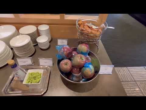 Terminal 1 do Aeroporto de Narita, United Club Lounge