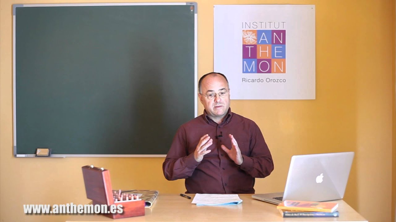 Watch ¿Existen contraindicaciones de las Flores de Bach Now ¿Existen contraindicaciones de las Flores de Bach