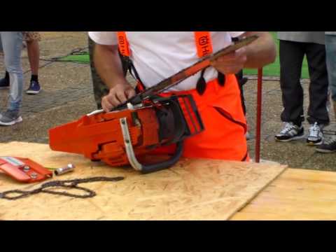 show forestier la satu mare