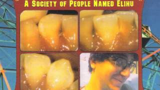 COVER of "Punk Rock Academy" by Atom &amp; His Package