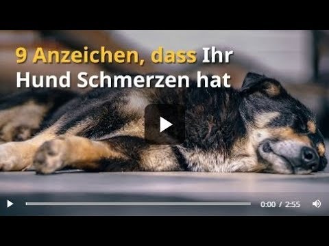Schwindel mit zervikaler Osteochondrose, wie zur Beseitigung Entzündung der Gelenke Ellenbogen Behandlung