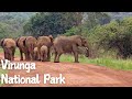 Exploring The Wonders Of Virunga National Park