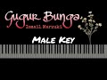 Gugur Bunga Ismail Marzuki Karaoke Piano Male Key