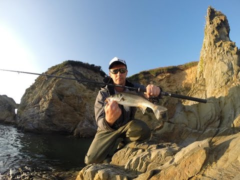 LUBINAS EN PLAYA DE MAR ABIERTO CON BLACK  MINNOW