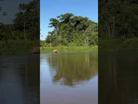 Rio Cabixi no Cone Sul de Rondônia #riocabixi #natureza #pescaria