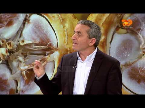 Ne Shtepine Tone, 2 Qershor 2016, Pjesa 3 - Top Channel Albania - Entertainment Show