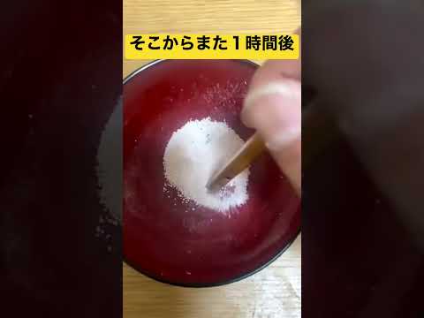 庭の卵殻粉末: 成功の秘訣を発見する  庭園