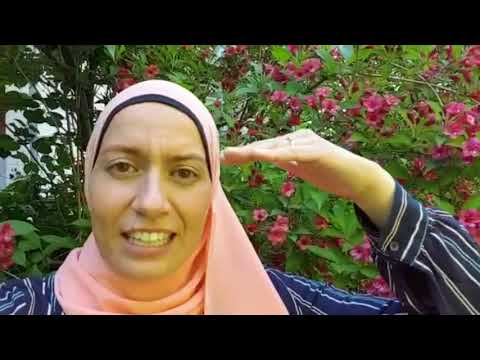 Finde dein Ziel und lass dich nicht ablenken.