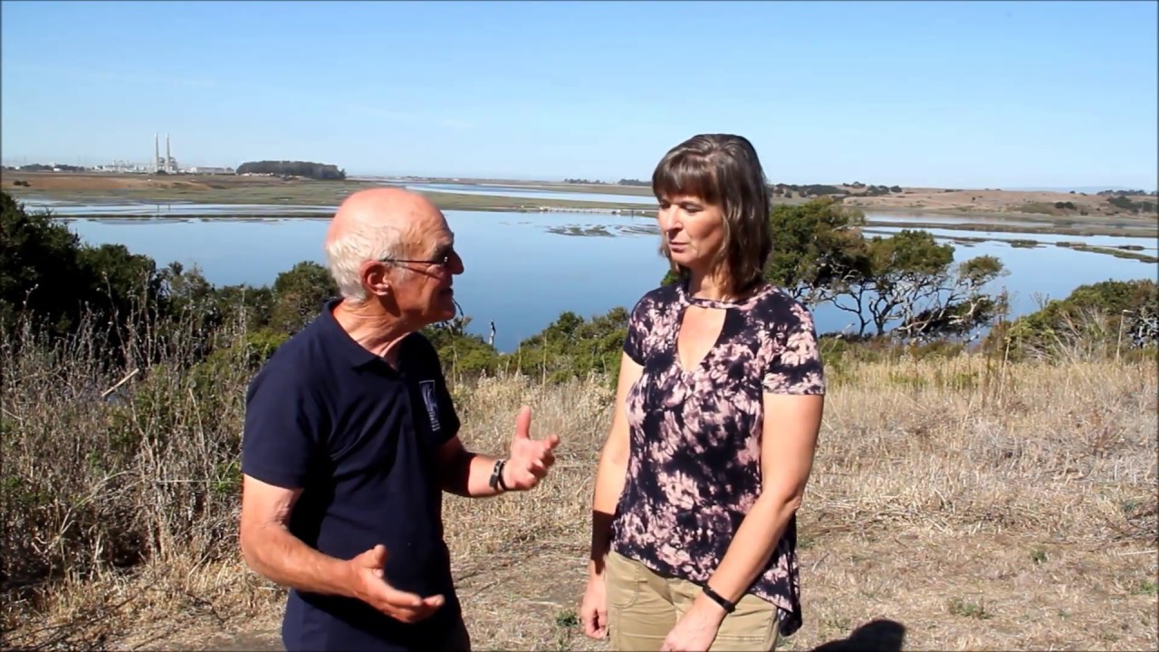 Discussing the Elkhorn Slough OtterCams