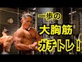 2種目だけ!?今年の胸トレ!【筋トレ】