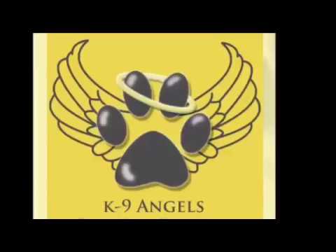 Madalina dogs - Street Dogs Urgent Appeal