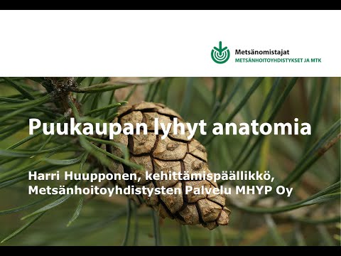 Puukaupan lyhyt anatomia - Metsänomistajat