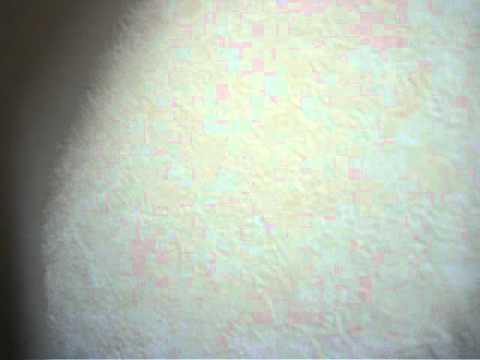 Tain Tite Lay Pyaw Pay Par - Jessy Lianno