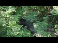 Beauty of nature in Switzerland - lovechild from Daniel Lanois