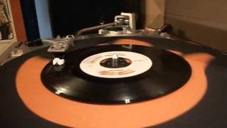 Reggae Pressure- The Hippy Boys