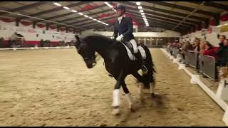 L'étalon KWPN Grappa vendu en France