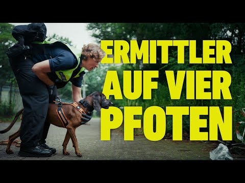 Ermittler auf vier Pfoten - Die Diensthunde der #Polizei #Berlin