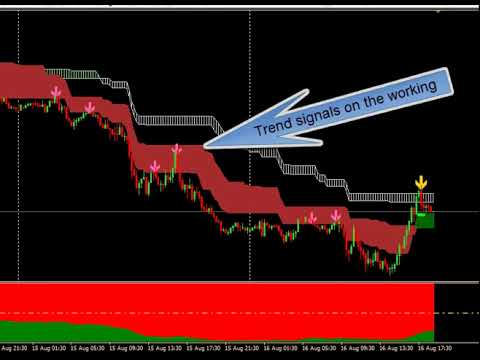 Video Sonar Mechanic