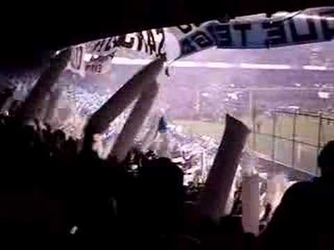 pichu y tebi en la cancha