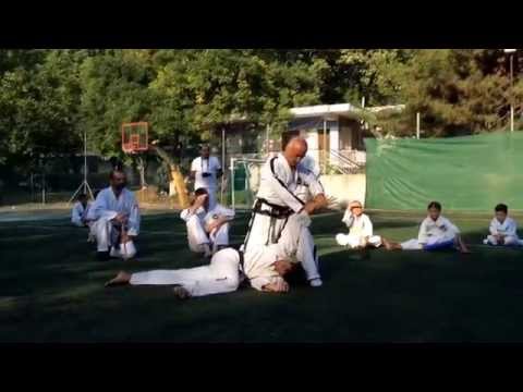 Master Alexandris - Defence against attacks with a stick (Olympos ITF Taekwon-do Camp 2014)