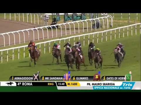 2019.05.19 Premio Mauro Sbarigia (ITA) - Armageddon