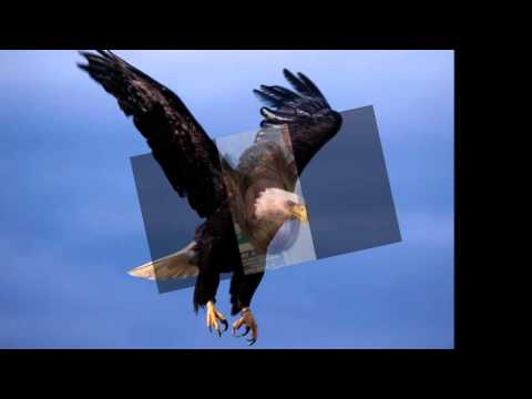 Mynie Grové - Sweef soos 'n arend