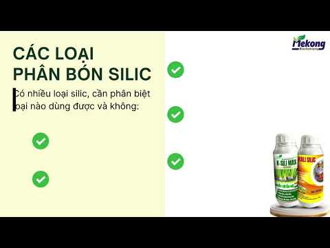 Silic - Tất tần tật về silic trong nông nghiệp 
