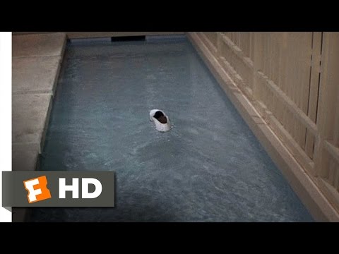 The Party (3/11) Movie CLIP - If the Shoe Floats (1968) HD
