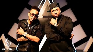 Nicky Jam, Ozuna - Te Robaré