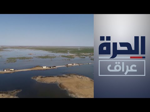 شاهد بالفيديو.. في اليوم الدولي للأراضي الرطبة.. مخاطر تواجه الأهوار