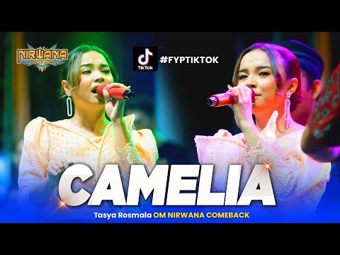 CAMELIA - Tasya Rosmala - OM NIRWANA COMEBACK Live Demak Jawa Tengah