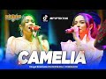 CAMELIA Tasya Rosmala OM NIRWANA COMEBACK Live Demak Jawa Tengah