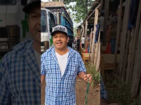 conversando con nuestros fieles seguidores tiangue de El Tránsito, San Miguel