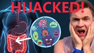 Hidden Influencers: Gut Microbes Manipulate Our Behavior, Mood & Health!