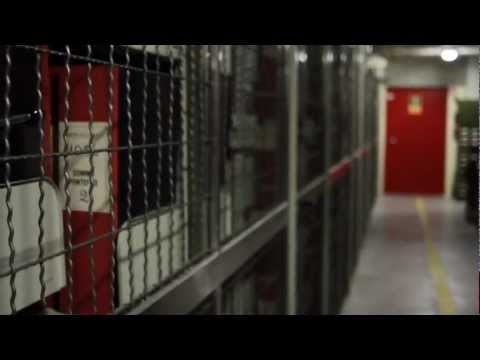 Espectacular trailer de la exposición de documentos del Archivo Secreto Vaticano