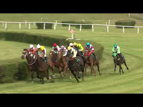 Dostihy Most 8. 6. 2025 - 5. dostih - Cena FK Teplice