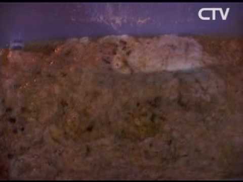 Kotsende SSRA studenten in Amsterdam