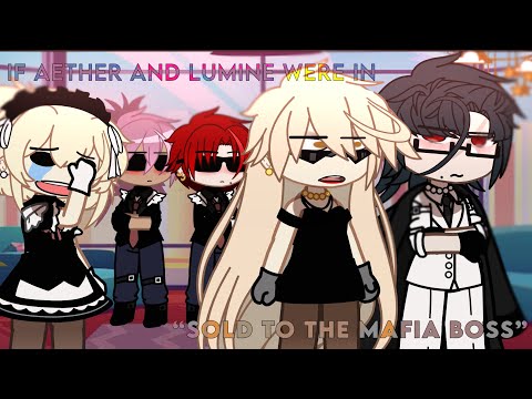 If aether and lumine were in “Sold to the mafia boss” ???????? [] lazy.