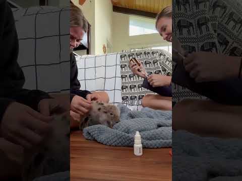 When those back scratches just hit right 😂🥰