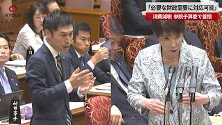 「必要な財政需要に対応可能」 消費減税  参院予算委で首相