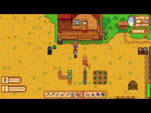 Video preview
