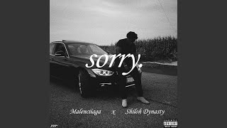 Sorry. Music Video