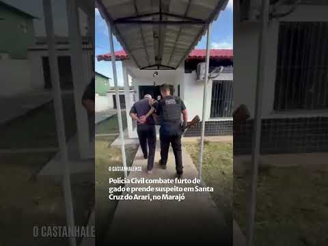 Polícia Civil combate furto de gado e prende suspeito em Santa Cruz do Arari, no Marajó