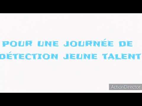 Lyon Plongeon Club - Journées Détection CNAHN 2021