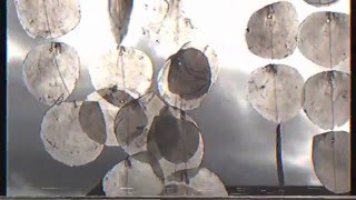 Recondite - Pages (Unofficial video)