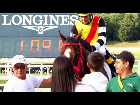 220410 c08 J Martinelli/ MANGO JANGLE (BRZ)