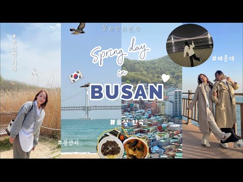 𝘛𝘳𝘢𝘪𝘯 𝘵𝘰 𝘉𝘶𝘴𝘢𝘯 🚅|Làng Gamcheon|Airbnb ở Busan|