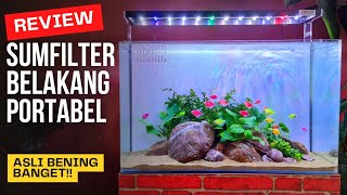 Nyobain Filter Aquarium murah 100 ribuan,Rapi dan bening kayak gak ada airnya