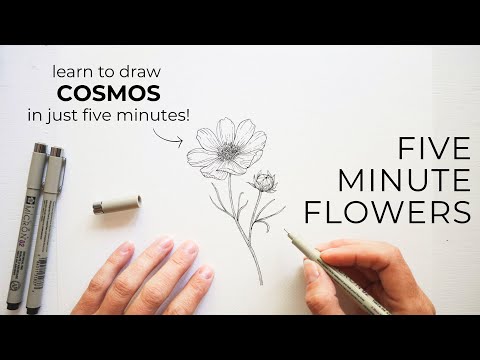 Five Minute Flowers ✿ How to Draw Cosmos | Learn to draw flowers!