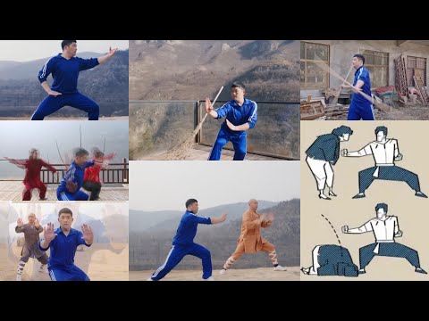 Wudang Taijiquan | Self-defense | Chinese Kung Fu | Fighting Skills#wudang #taichi #health#Qigong